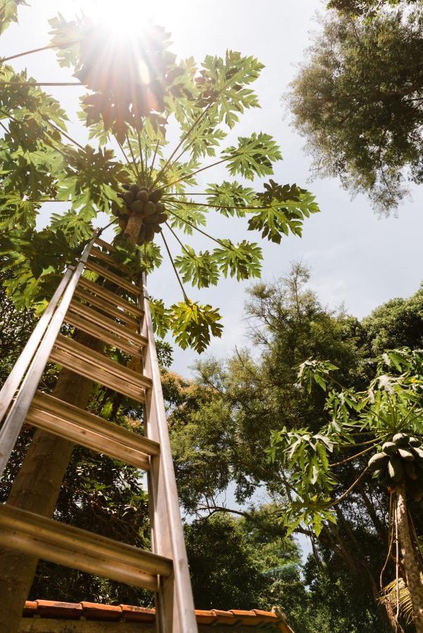 Happy Hammock Eco Beach Hotel Parati Esterno foto